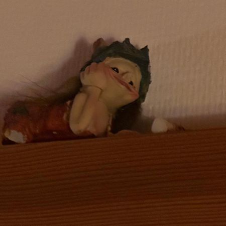 Trollhus - Grosses Familienfreundliches Ferienhaus Born Zewnętrze zdjęcie