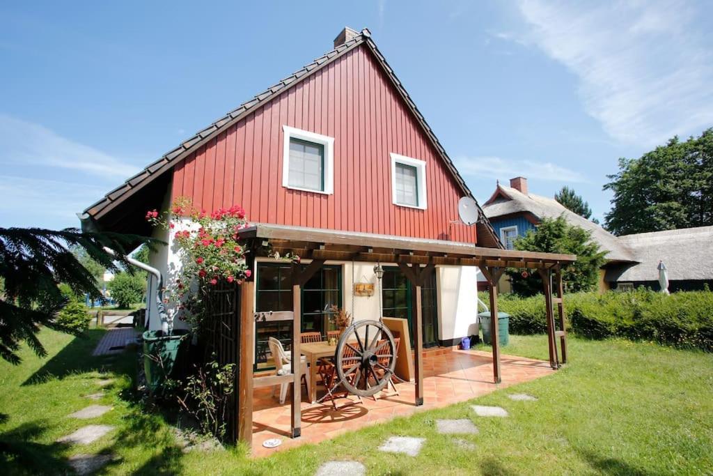 Trollhus - Grosses Familienfreundliches Ferienhaus Born Zewnętrze zdjęcie