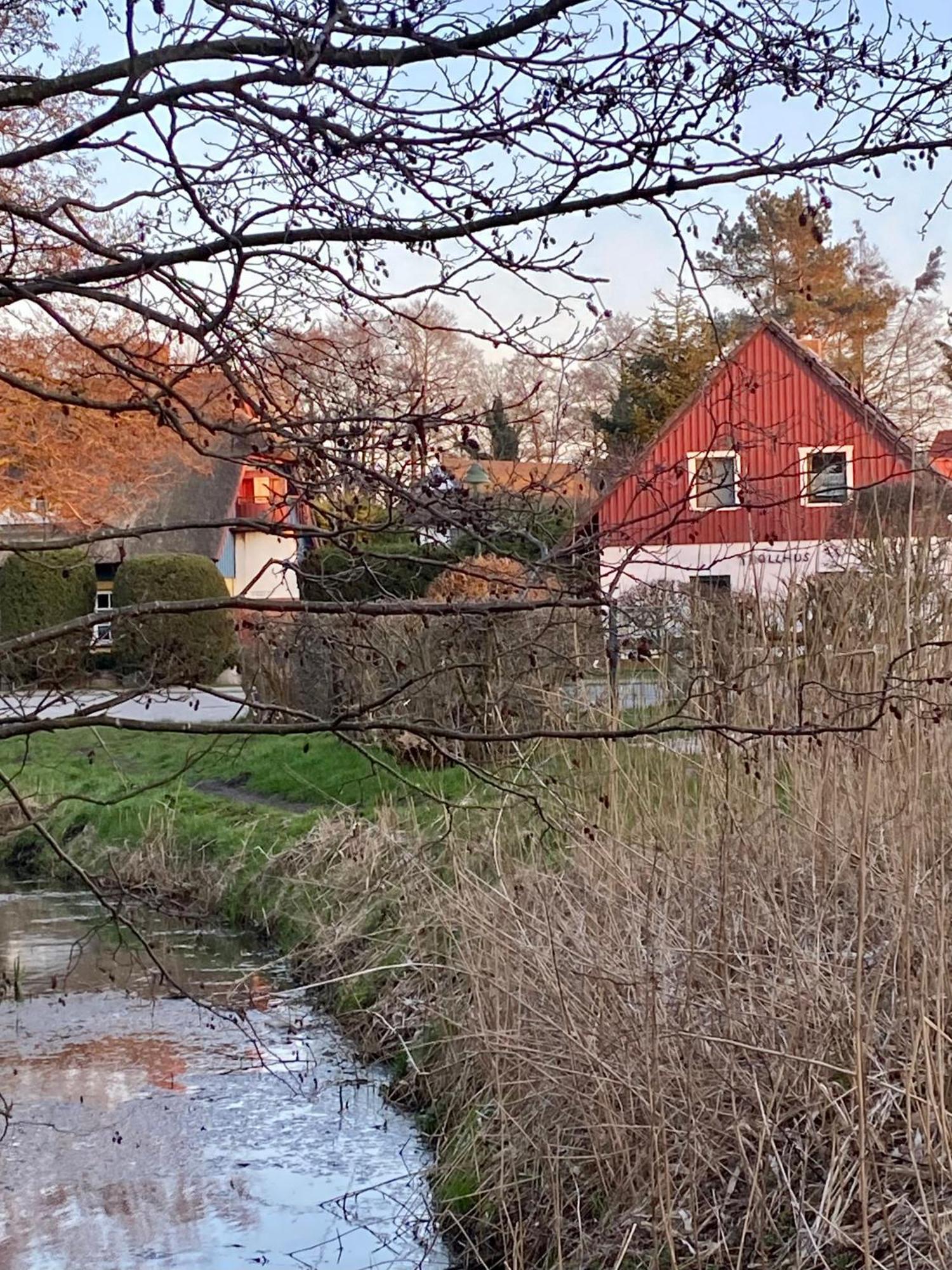 Trollhus - Grosses Familienfreundliches Ferienhaus Born Zewnętrze zdjęcie